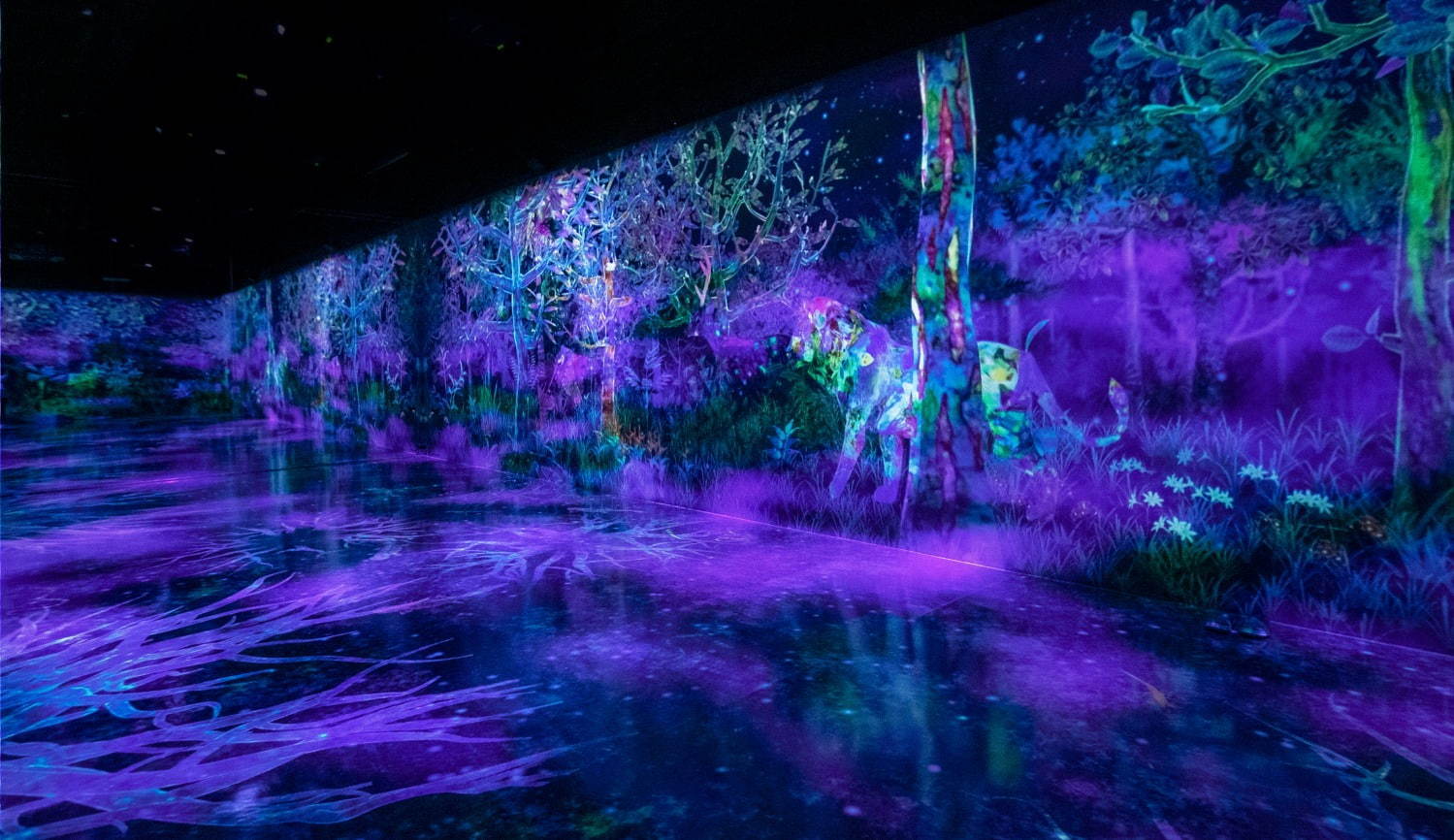 捕まえて集める森 / Catching and Collecting Forest
teamLab, 2020, Interactive Digital installation, Endless, Sound: Hideaki Takahashi