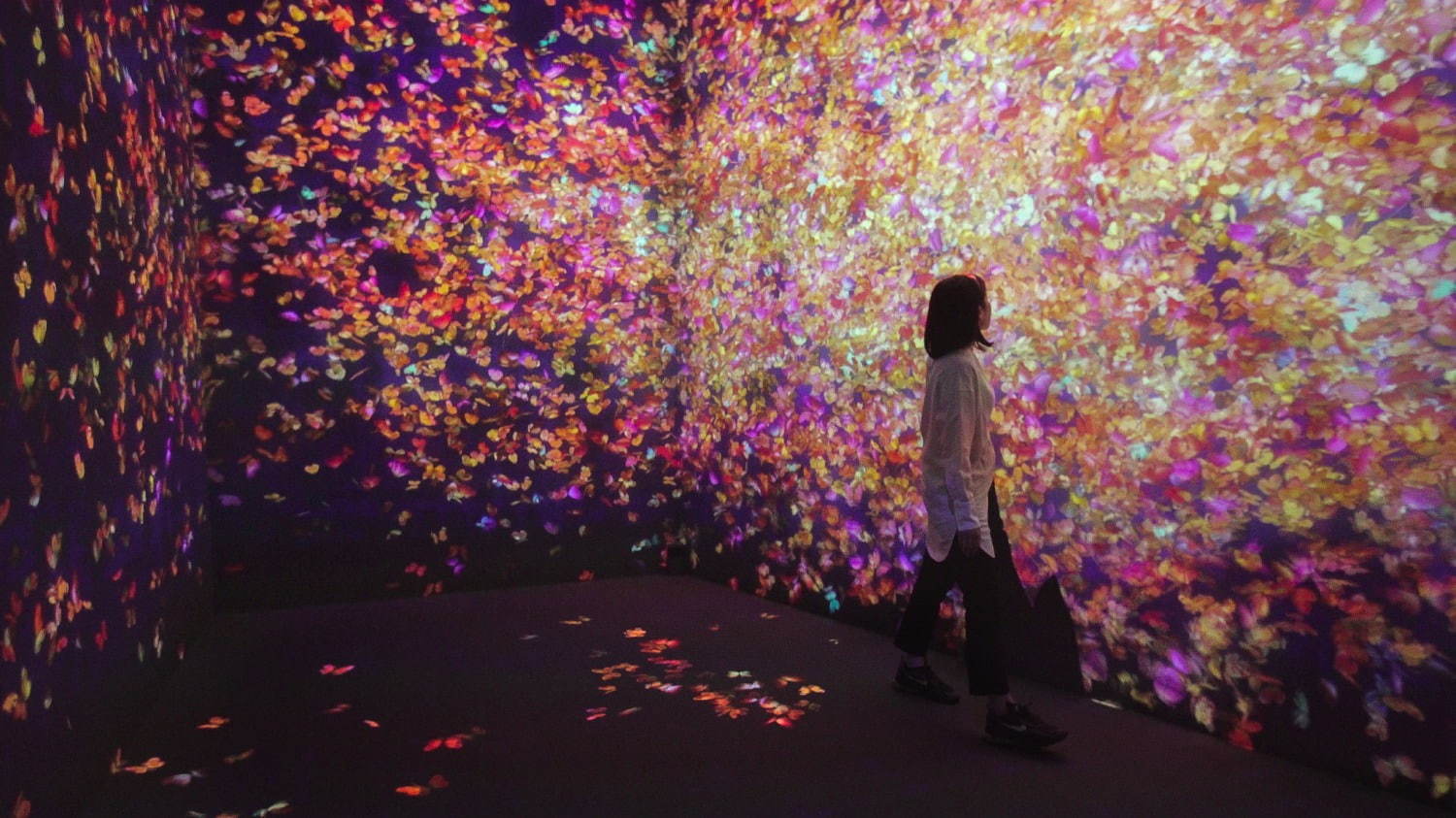 群蝶、 儚い命 / Flutter of Butterflies, Ephemeral Life
teamLab, 2020, Interactive Digital Installation, Endless, Sound: Hideaki Takahashi