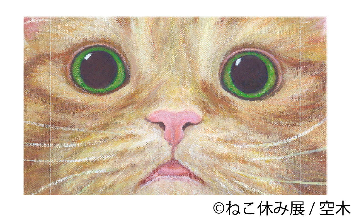 猫の合同写真＆物販展「ねこ休み展」4年ぶりに福岡で、人気作から最新作まで集結＆限定グッズも｜写真33