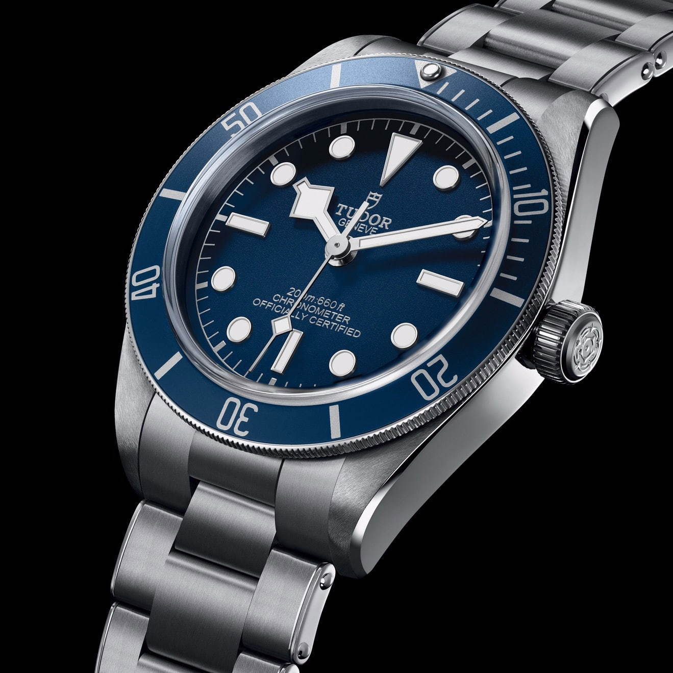 チューダー(TUDOR) ブラックベイ フィフティ‐エイト｜写真2