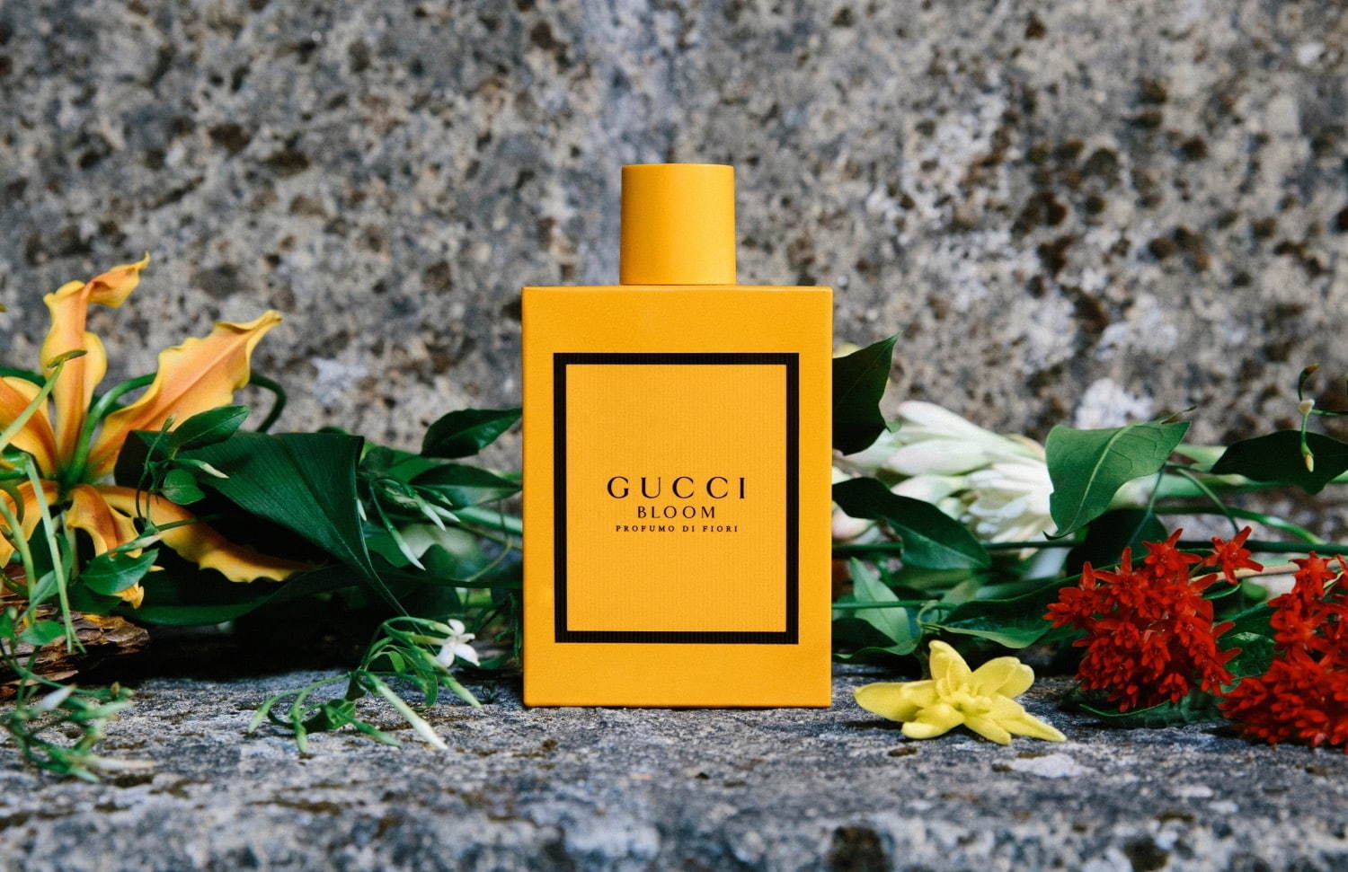 グッチ(GUCCI) グッチ ブルーム プロフーモ ディ フィオーリ｜写真1