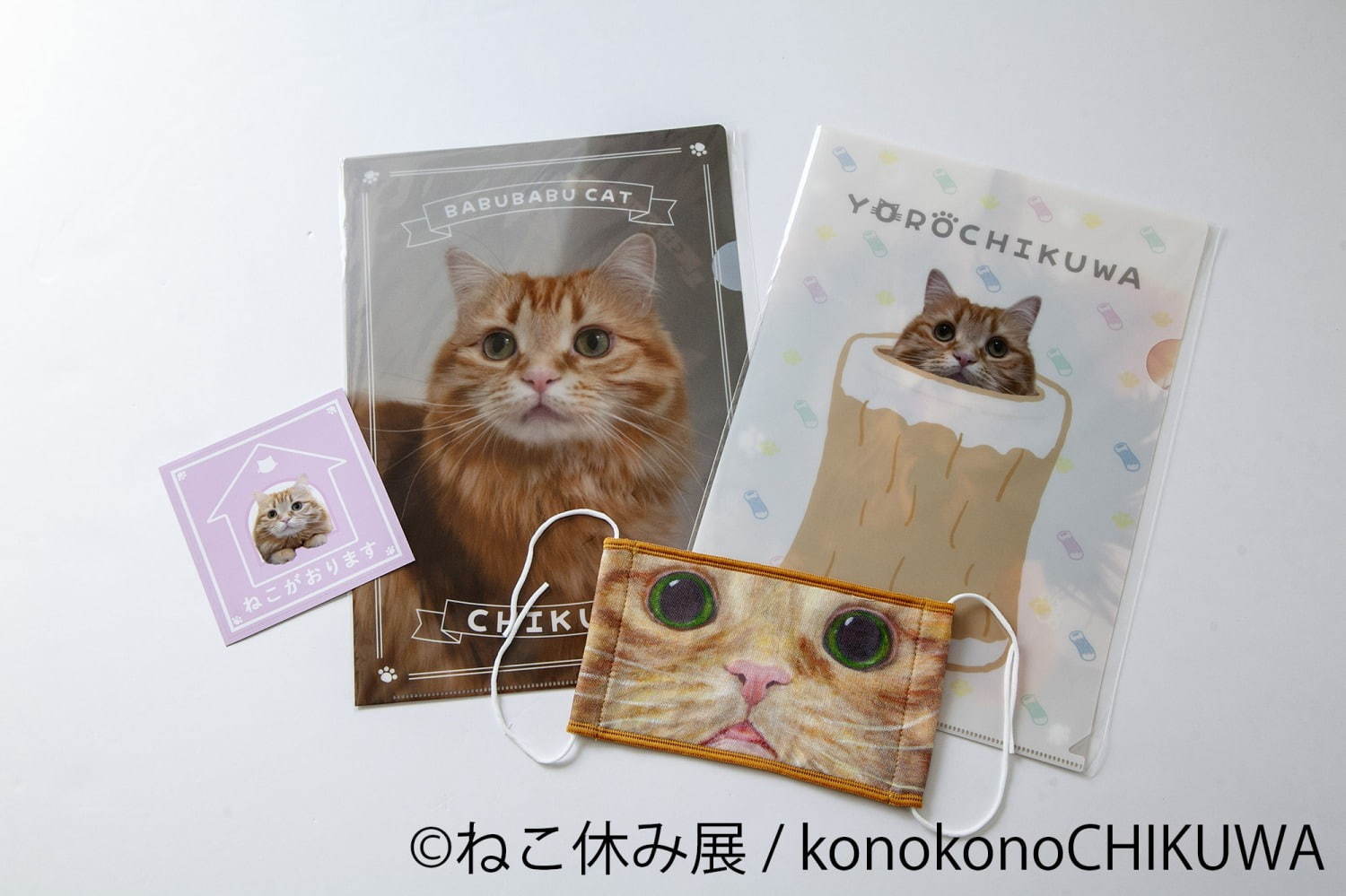 「ねこ休み展 秋 2020」名古屋で、新スター猫の写真展示＆猫アクセサリーの販売など｜写真17