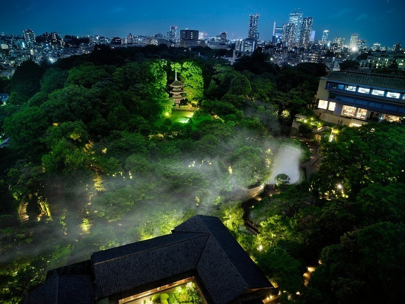 東京都内5つ星＆4つ星高級ホテル・旅館の宿泊プラン特集、“非日常を味わう”アフタヌーンティー付きなど｜写真13