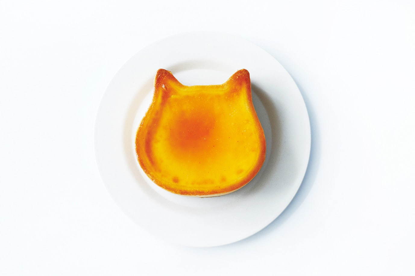 ねこねこチーズケーキ(NEKO NEKO CHEESECAKE) ねこねこチーズケーキ｜写真4