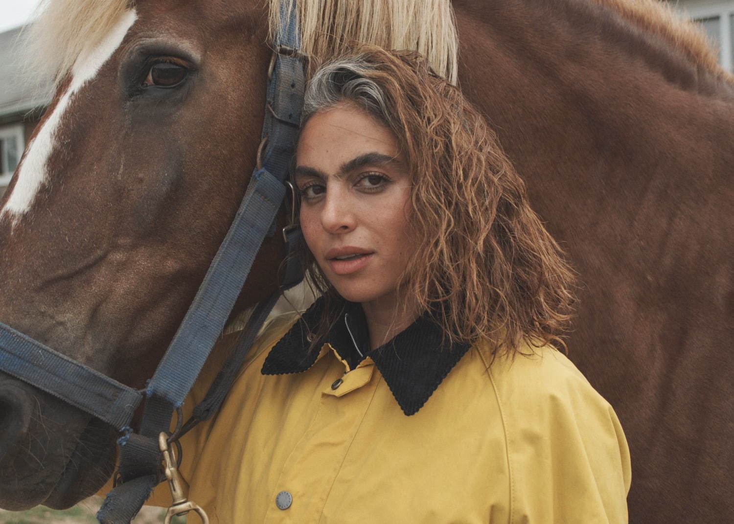 ノア(NOAH), バブアー(Barbour) ビデイル ビューフォート｜写真35