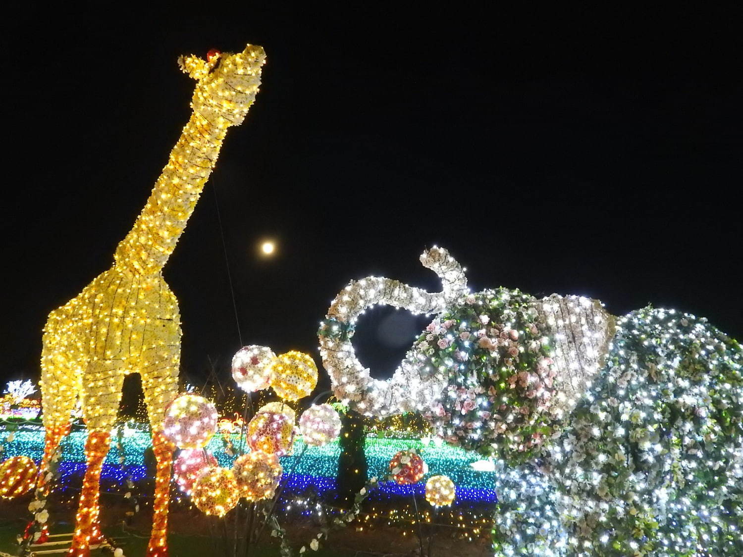 東武動物公園のイルミネーション2020、約300万球のLEDの光×音楽のショーなど｜写真3