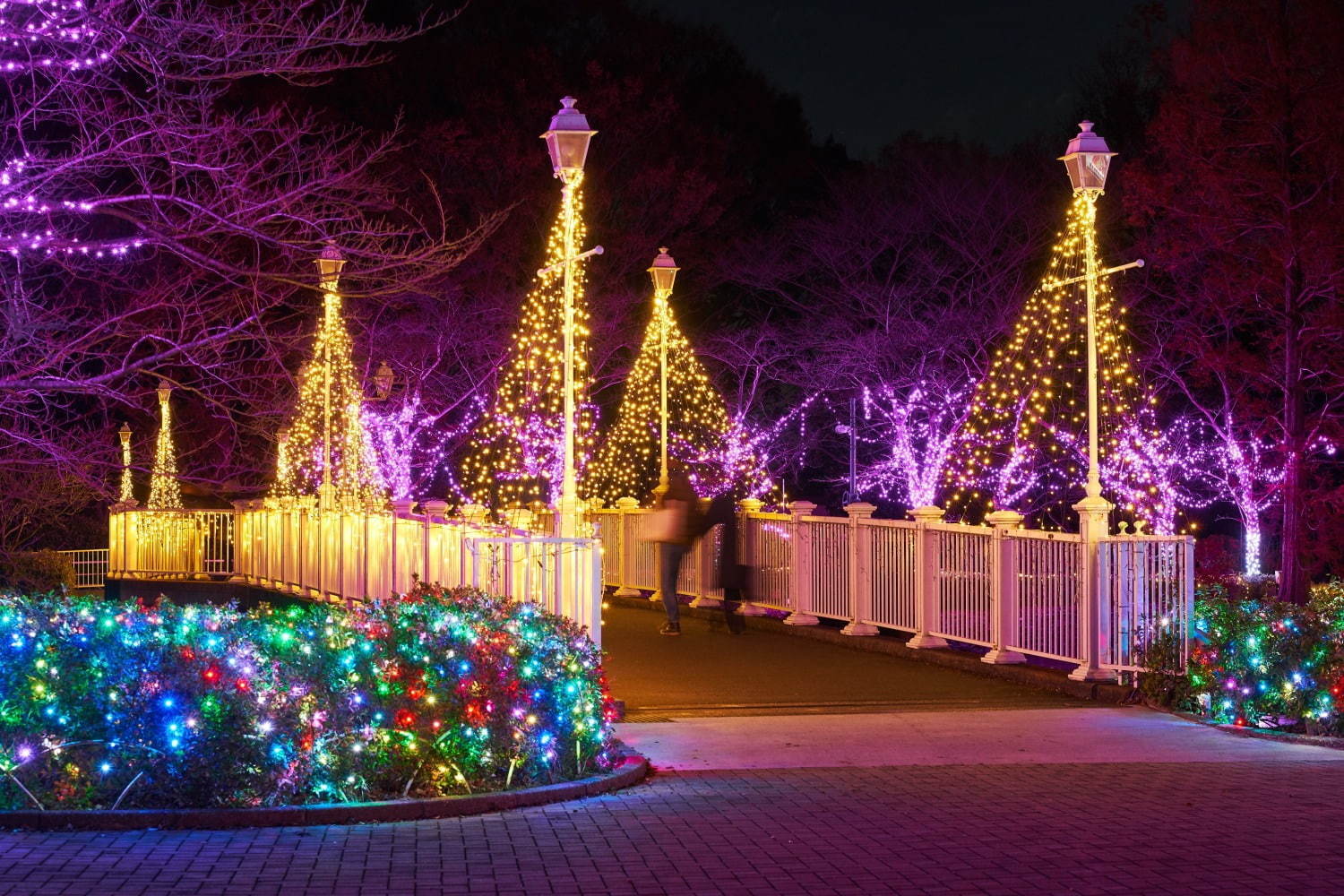 東武動物公園のイルミネーション2020、約300万球のLEDの光×音楽のショーなど｜写真13