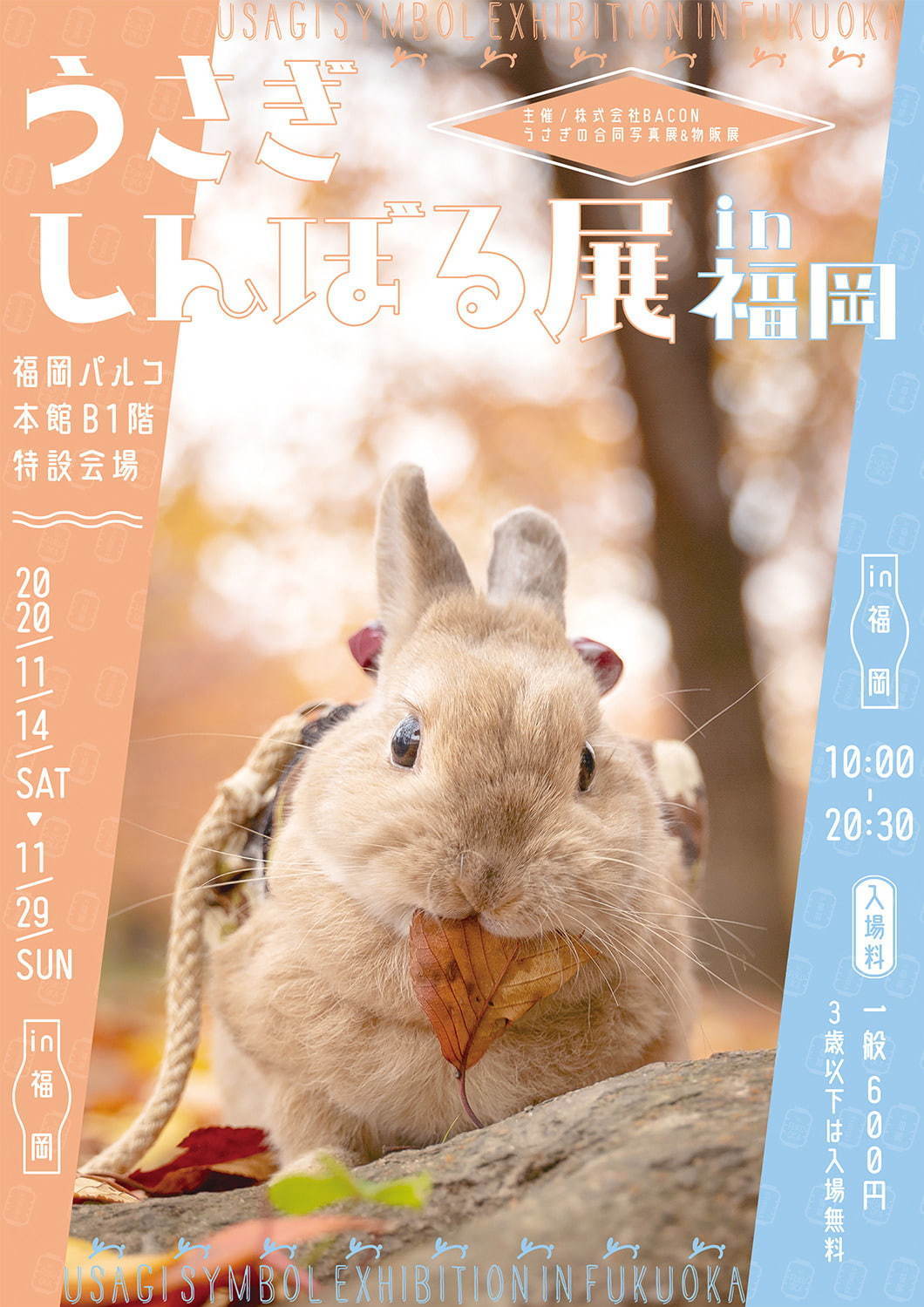 うさぎの合同写真＆物販展「うさぎしんぼる展」福岡初上陸、うさぎグッズなど福岡パルコで販売｜写真29