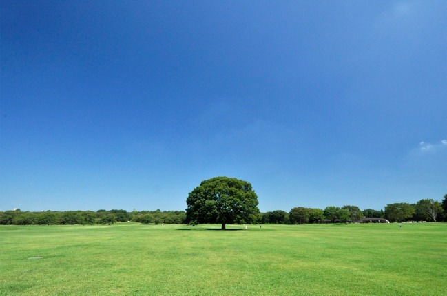 “秋の紅葉ライトアップ”が東京・国営昭和記念公園で、イチョウ並木＆日本庭園に美しい光の演出｜写真10