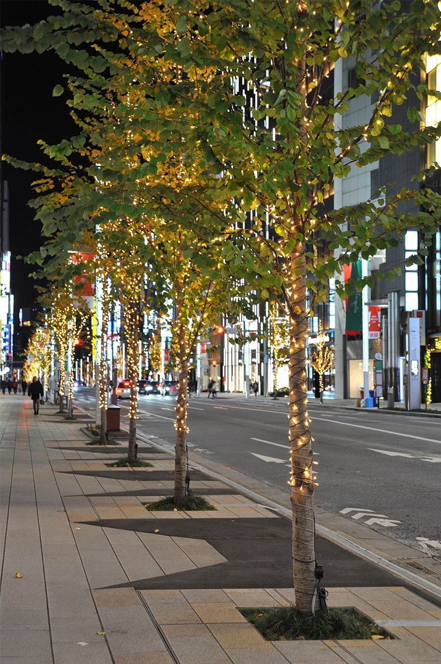 銀座・丸の内・日比谷・日本橋のイルミネーション2020-21、東京駅から徒歩圏内のエリアを特集 | 写真