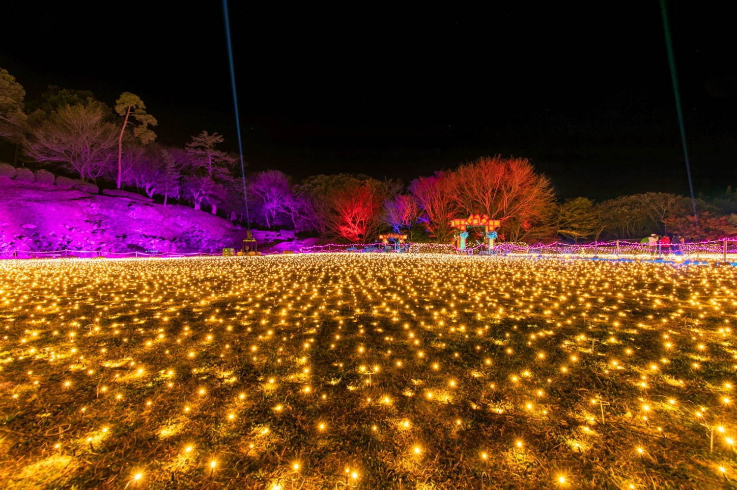 小田原「一夜城イルミネーション」華やか“黄金色”の輝きで城内を彩る｜写真3