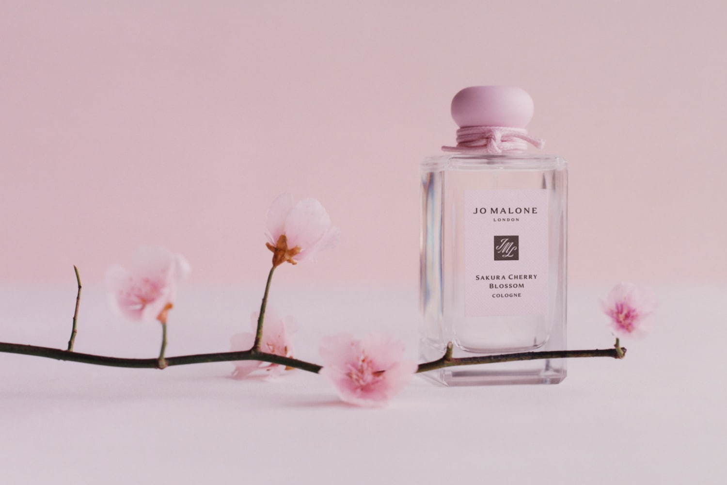 ジョー マローン ロンドン(JO MALONE LONDON) サクラ チェリー ブロッサム｜写真3