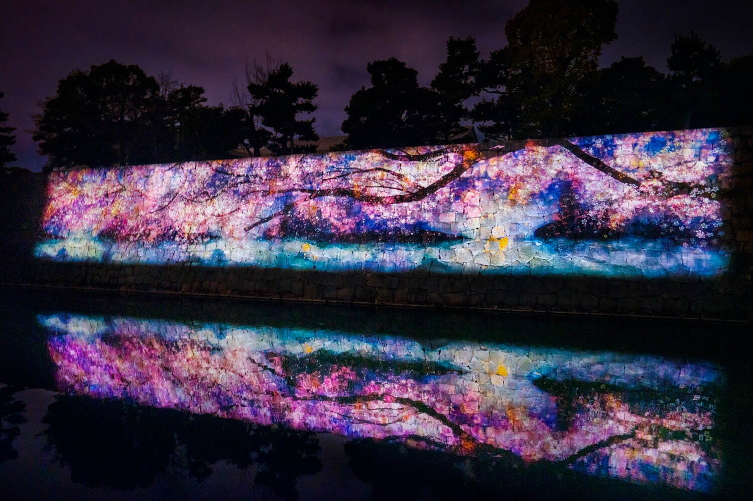 花の体感型アート展「ネイキッド フラワーズ」京都・二条城で、夜桜×アートのプロジェクションマッピング｜写真6