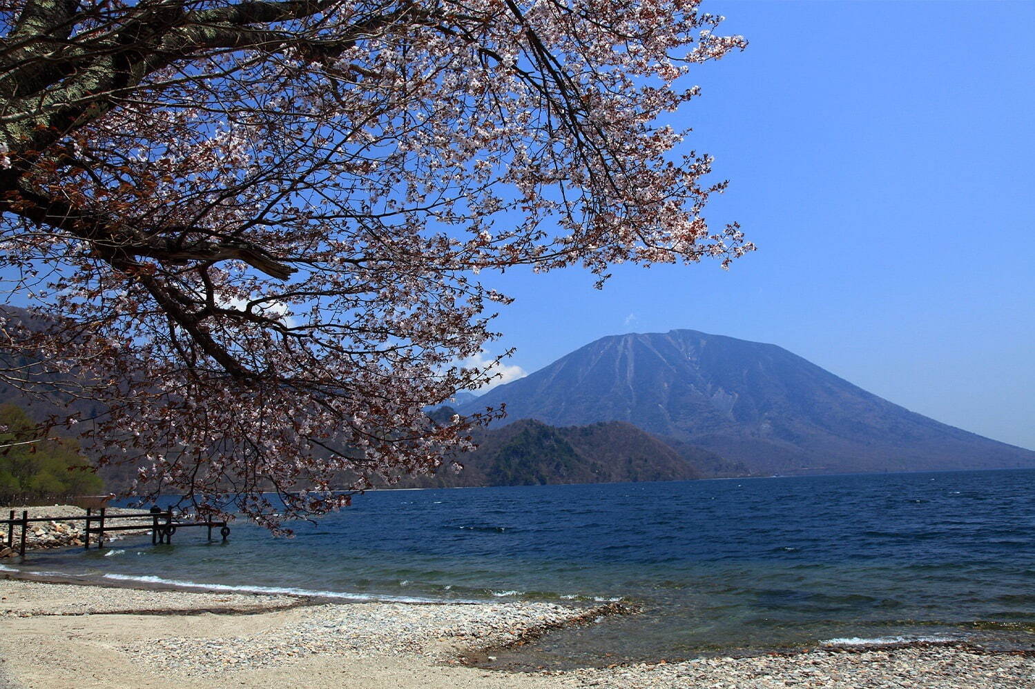 ザ・リッツ・カールトン日光“苺＆桜”アフタヌーンティー、桜葉を練り込んだケーキや桜餡エクレアなど｜写真3