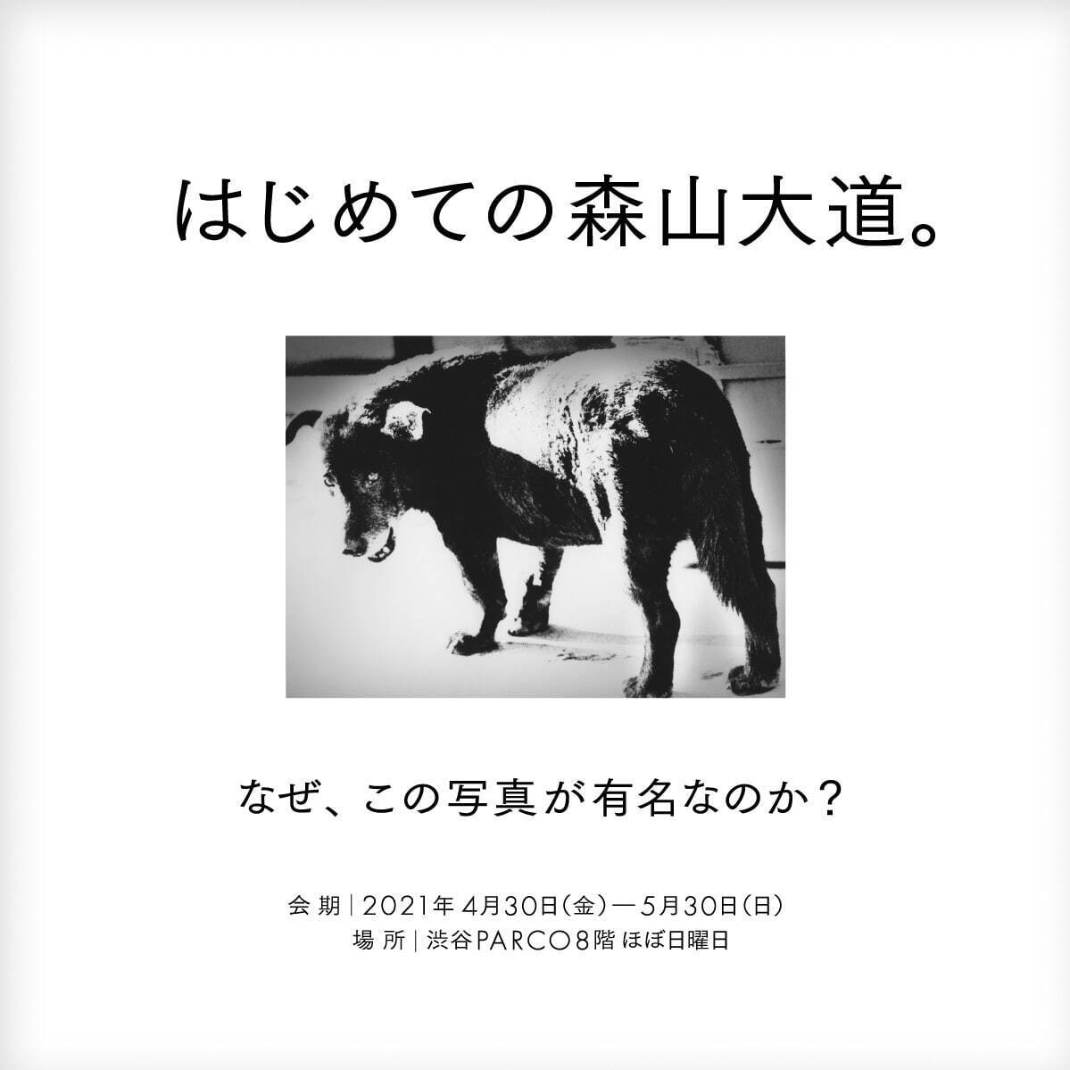 展覧会「はじめての森山大道。」渋谷パルコで、《三沢の犬》など写真の魅力に迫る“入門編”展示｜写真1