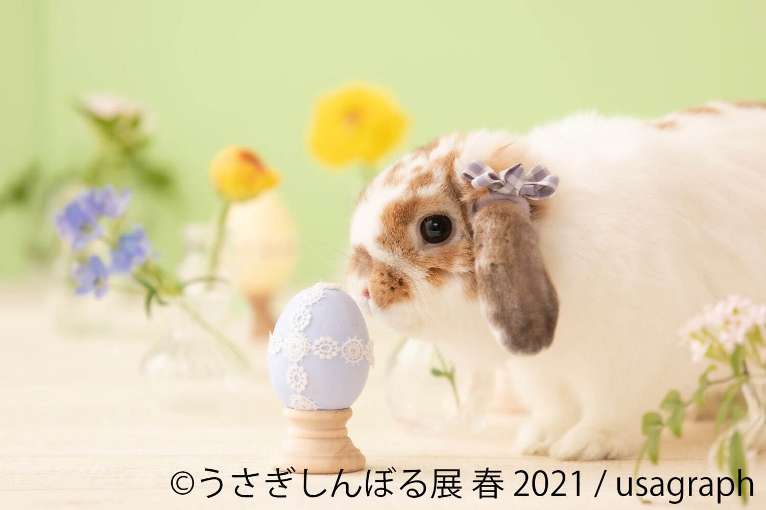 うさぎの合同写真展「うさぎしんぼる展」名古屋で、250点以上の癒やし作品＆限定グッズ販売｜写真10