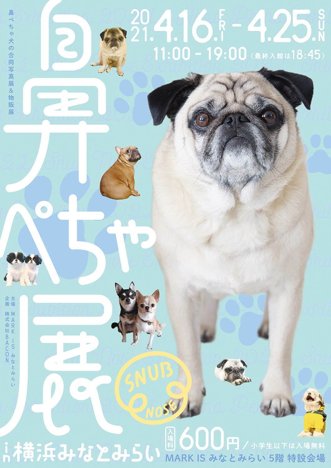 “鼻ぺちゃ犬”の合同写真展＆物販展が調布パルコで、“ぶひ可愛い”犬作品やグッズ集結｜写真16