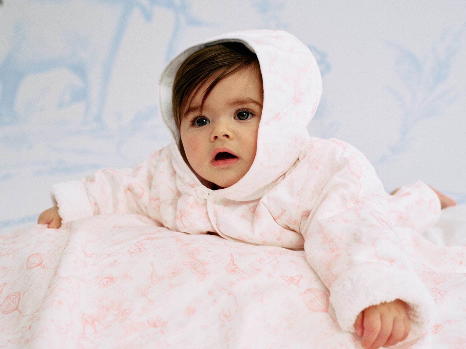 ベビー ディオール(BABY DIOR) トワル ドゥ ジュイ｜写真7