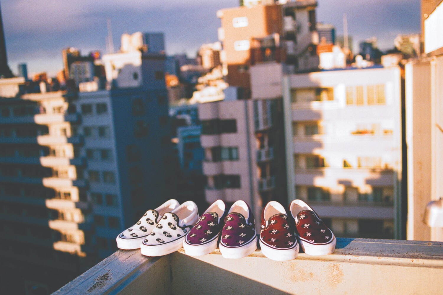 ワコマリア(WACKO MARIA), ヴァンズ(VANS) レコード柄｜写真7