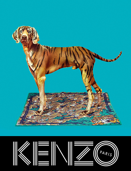 KENZO(ケンゾー)2013-14秋冬の広告で、菊地凛子が標本に!?｜写真7