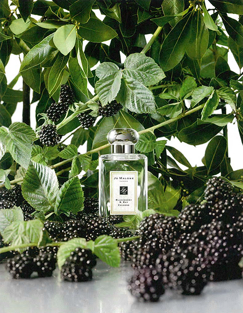 ジョー マローン ロンドン(JO MALONE LONDON) ジョー マローン ロンドン｜写真1