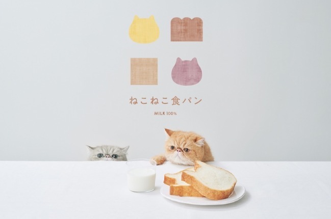 ねこねこ(NEKO NEKO) ねこねこ食パン｜写真3