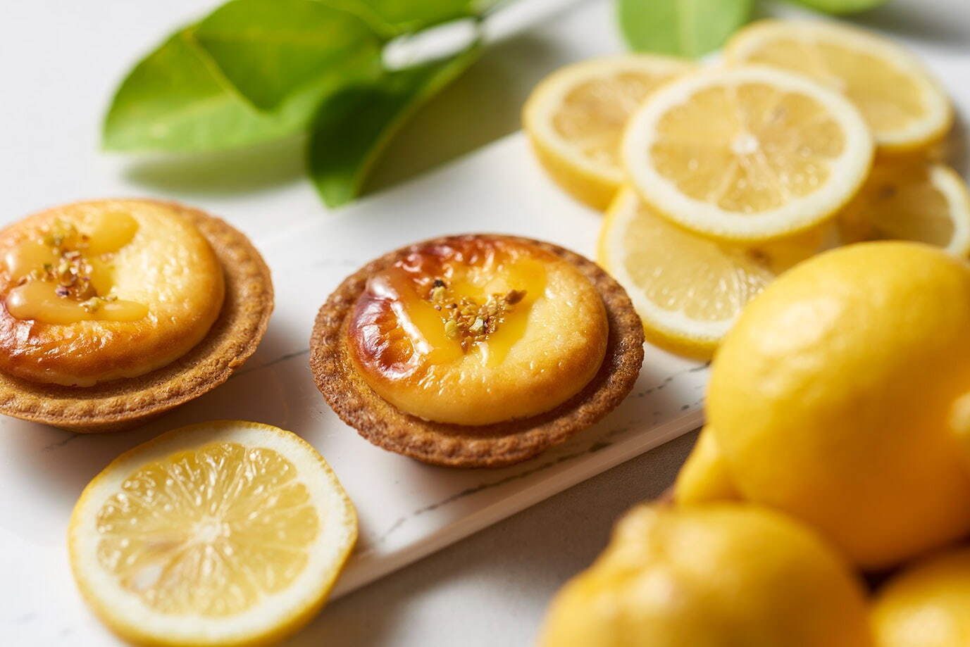 ベイク チーズタルト(BAKE CHEESE TART) 潮風レモンチーズタルト｜写真6