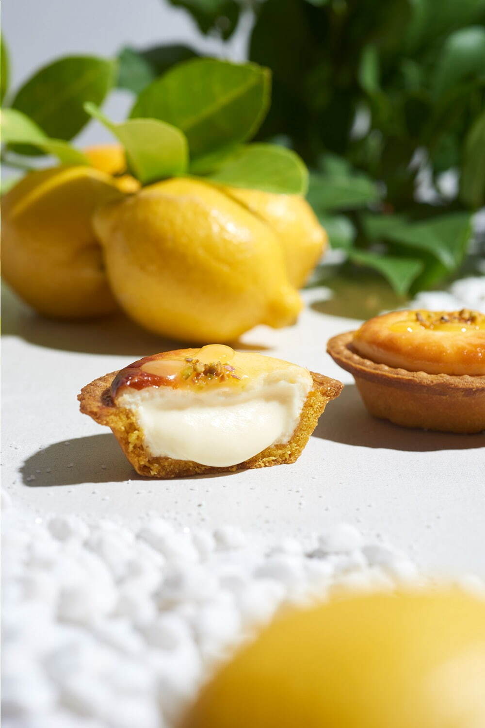 ベイク チーズタルト(BAKE CHEESE TART) 潮風レモンチーズタルト｜写真2