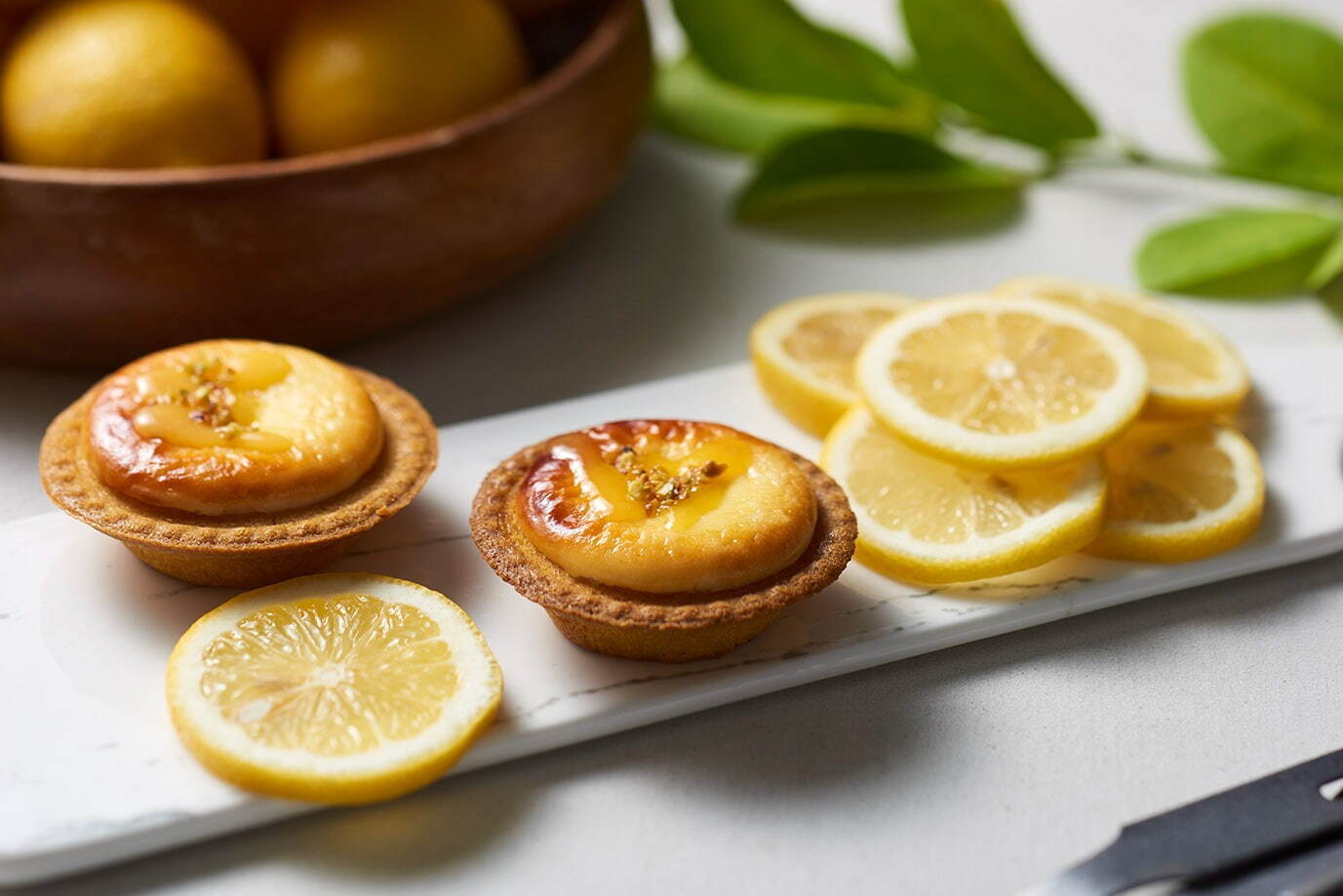 ベイク チーズタルト(BAKE CHEESE TART) 潮風レモンチーズタルト｜写真4