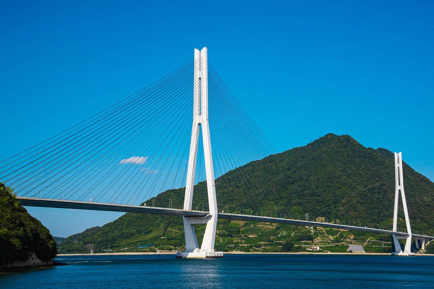 ドーム型グランピング施設「グランドーム瀬戸内しまなみ」広島・尾道の生口島に、BBQやレンタサイクルも｜写真1