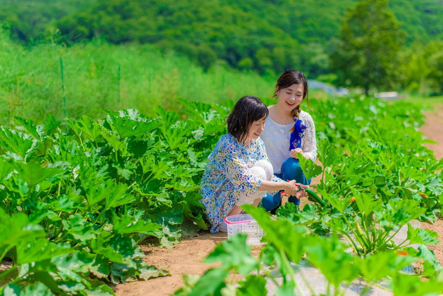 北海道・ルスツリゾート“手ぶらキャンプ”OKの新施設「ルスツ山はともだちキャンプ場」無料で温泉も｜写真4