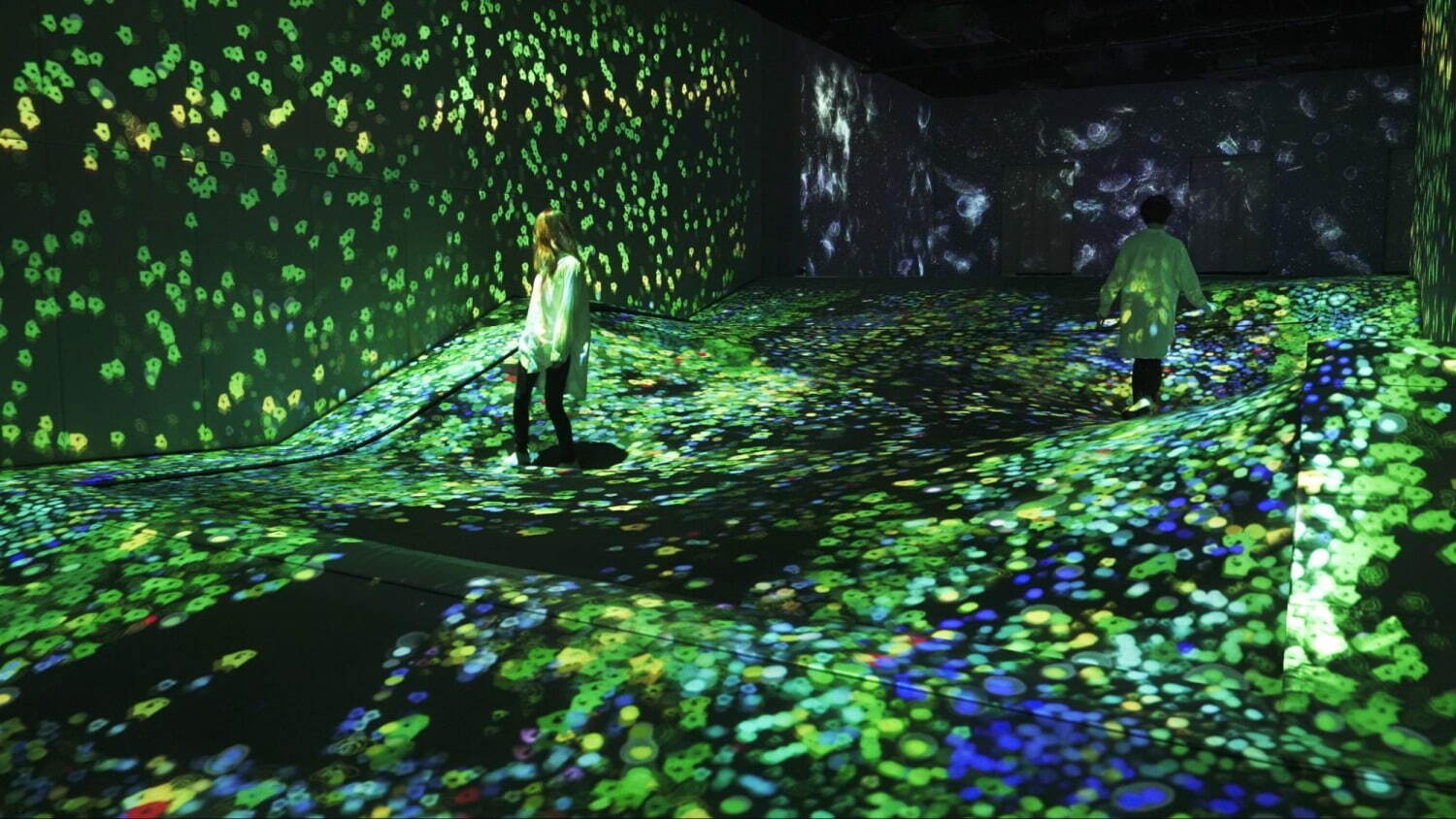 《ふわふわな地形のつぶつぶの地層 - A Whole Year per Year / Soft Terrain and Granular Topography - A Whole Year per Year》
teamLab, 2020-, Interactive Digital Installation, Sound: teamLab