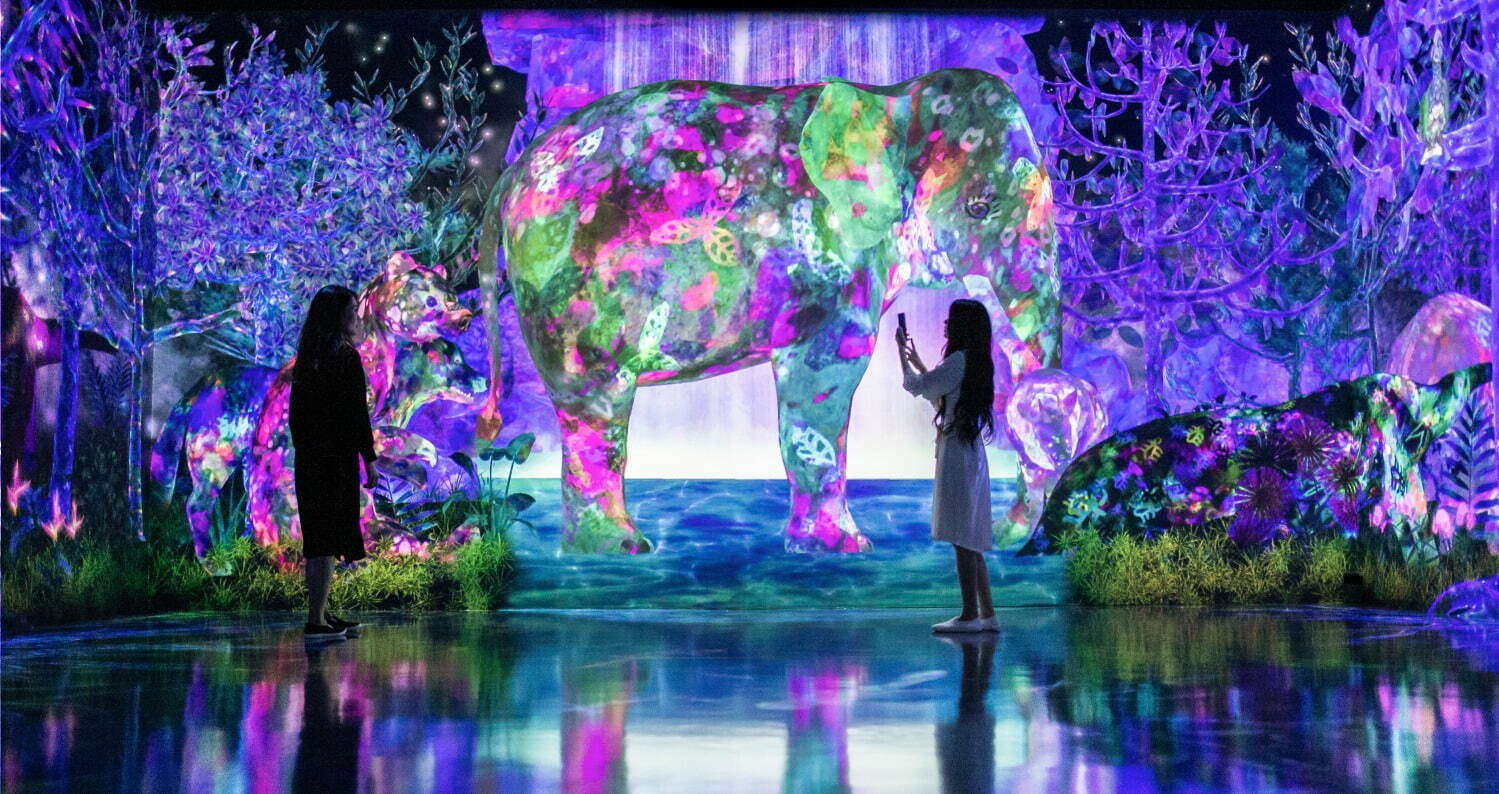 《捕まえて集める森 / Catching and Collecting Forest》
teamLab, 2020, Interactive Digital installation, Endless, Sound: Hideaki Takahashi