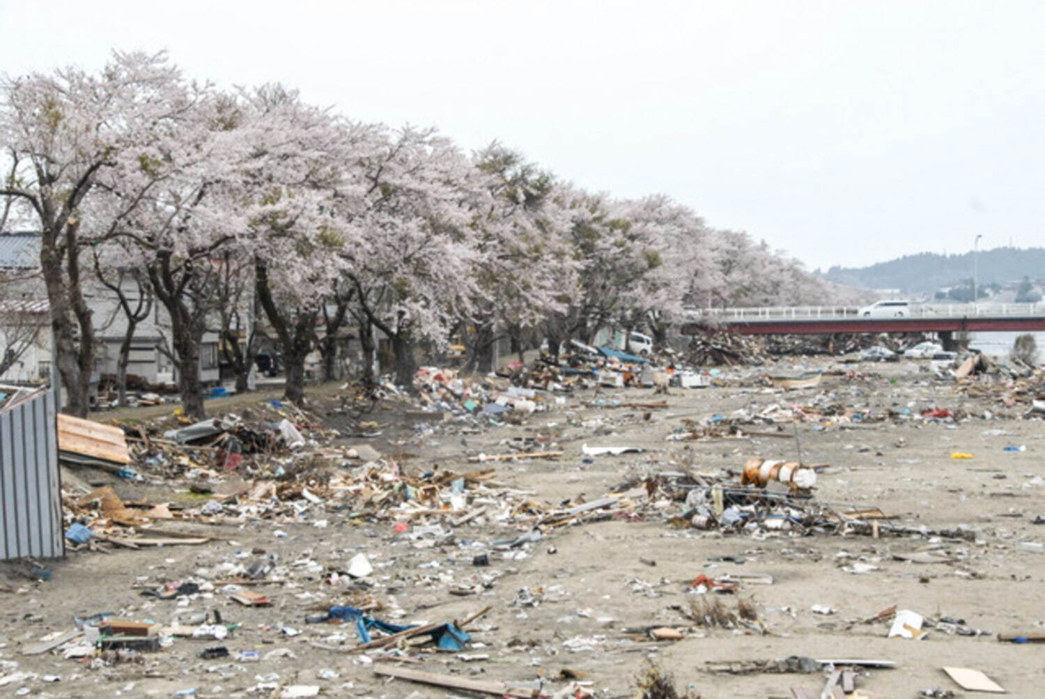 「KYOTOGRAPHIE 京都国際写真祭 2021」二条城や京都文化博物館などで14の展覧会｜写真27