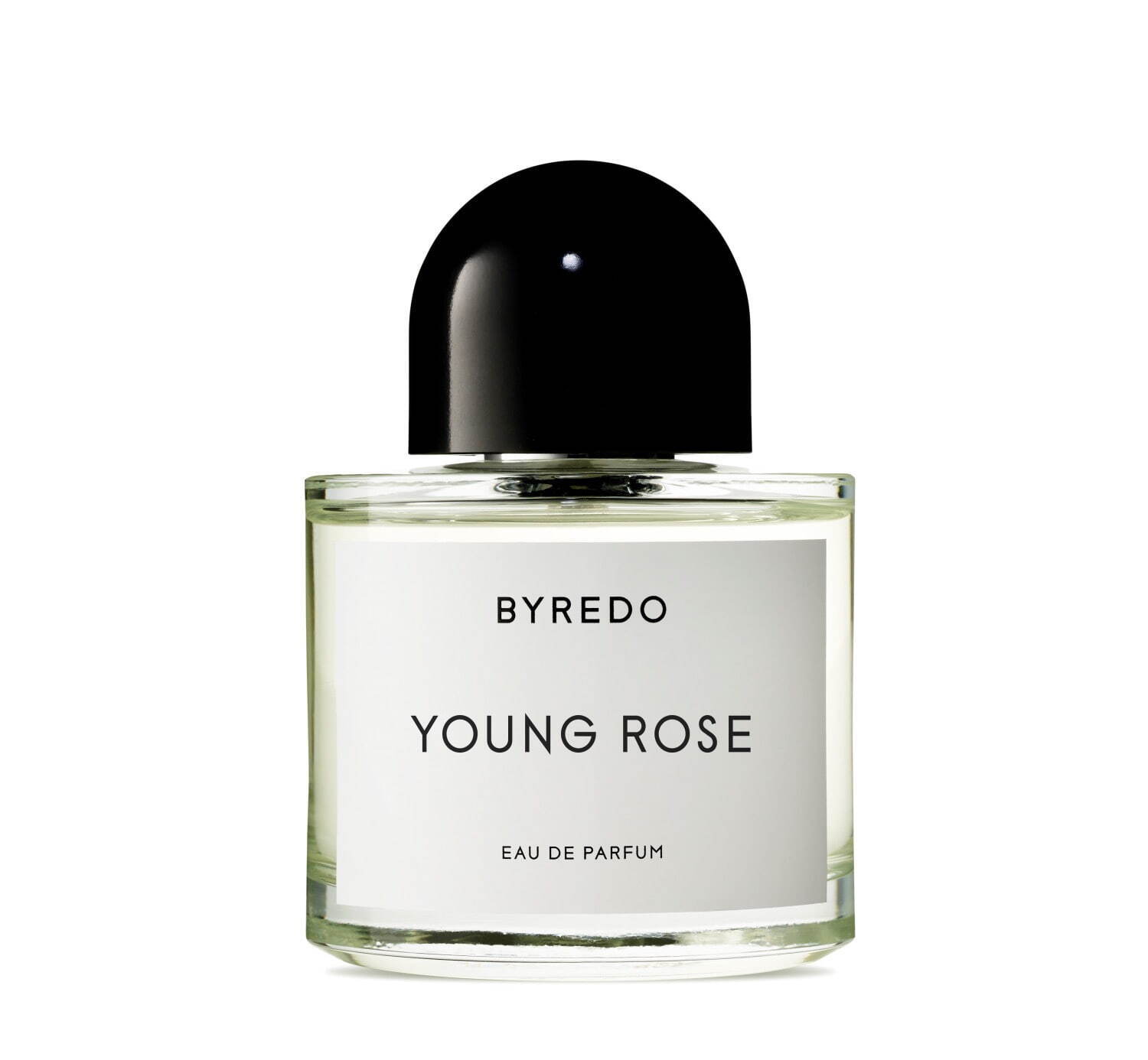 バイレード(BYREDO) ヤング ローズ｜写真1