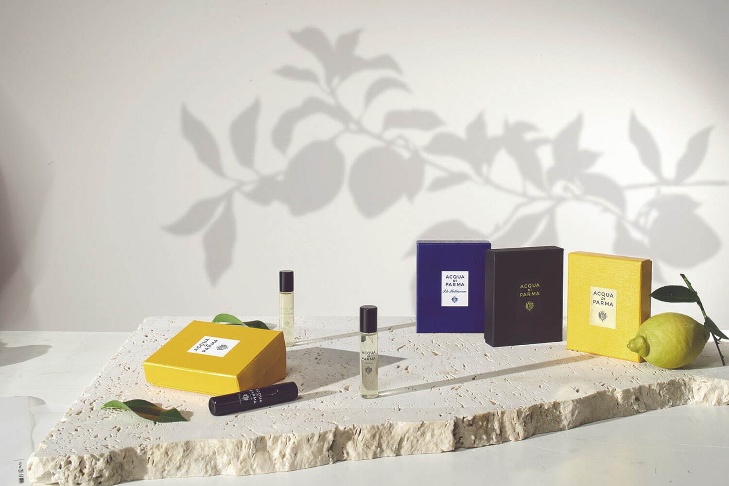 アクア ディ パルマ(ACQUA DI PARMA) コロニア｜写真6