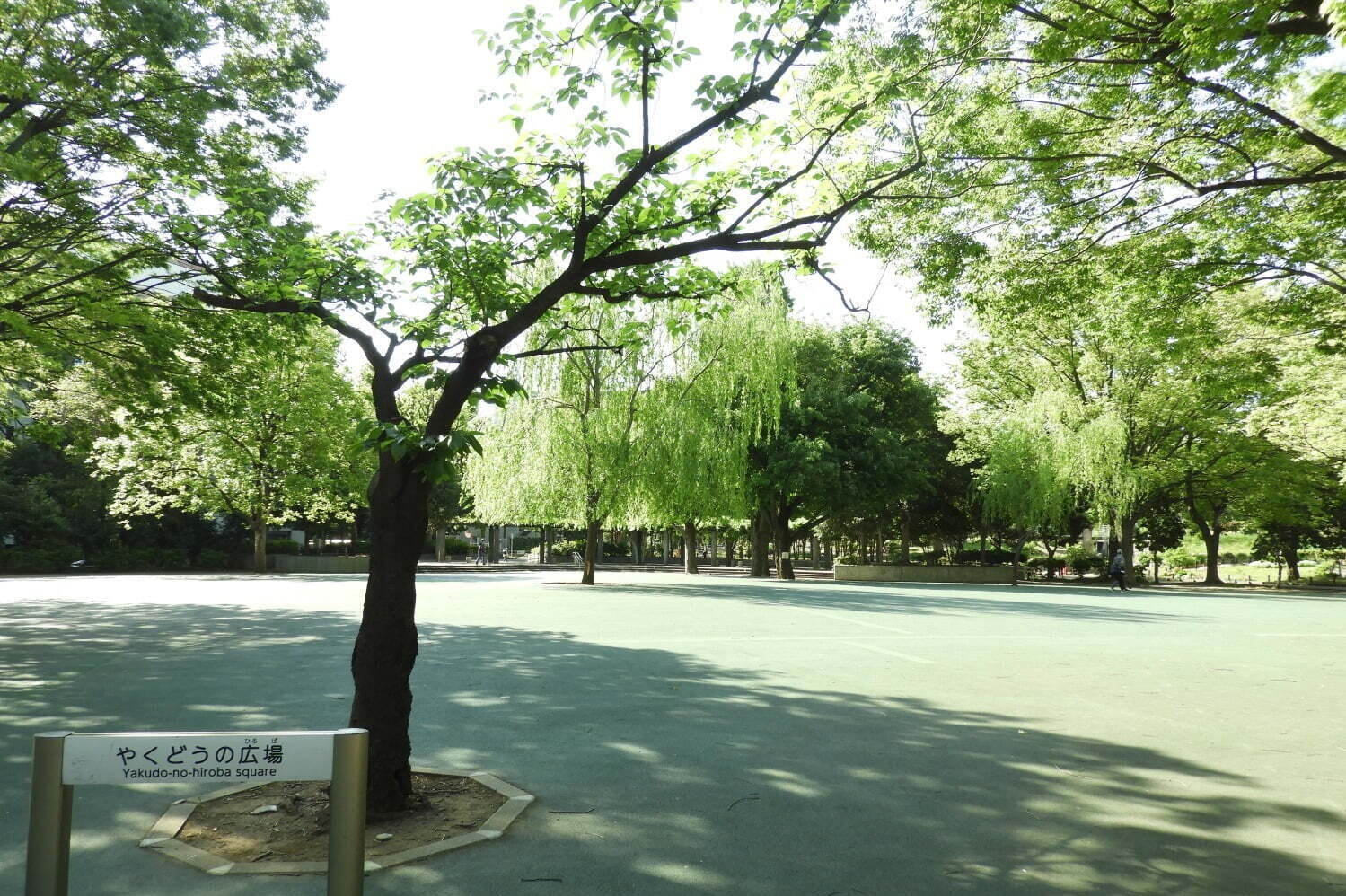 東京都内の大型公園一覧、デートやピクニックにおすすめな人気＆穴場公園を一挙紹介｜写真3