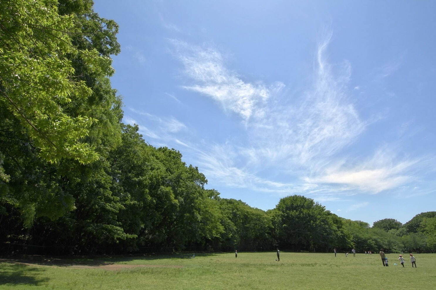 東京都内の大型公園一覧、デートやピクニックにおすすめな人気＆穴場公園を一挙紹介｜写真7