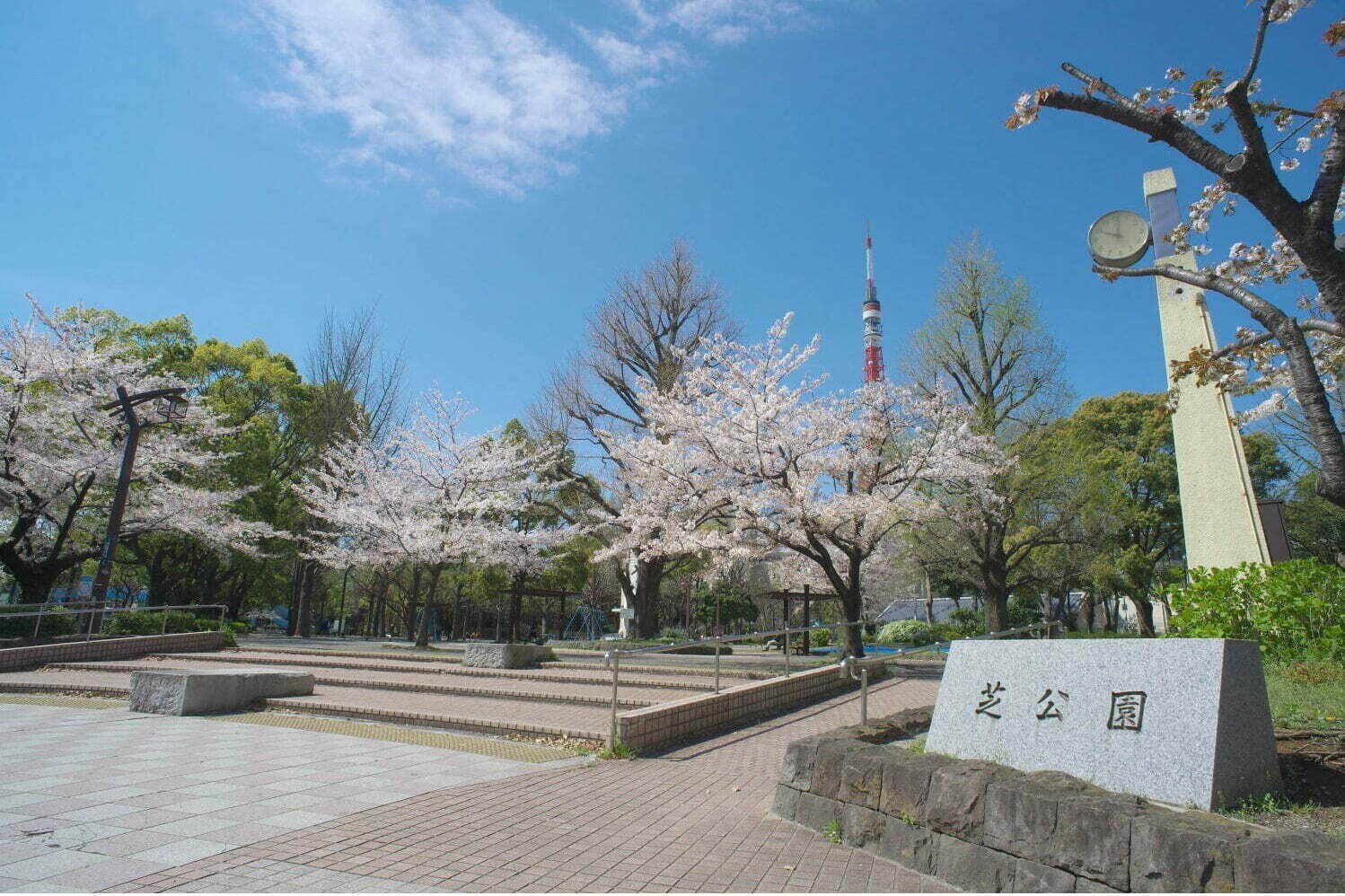 東京都内の大型公園一覧、デートやピクニックにおすすめな人気＆穴場公園を一挙紹介｜写真4