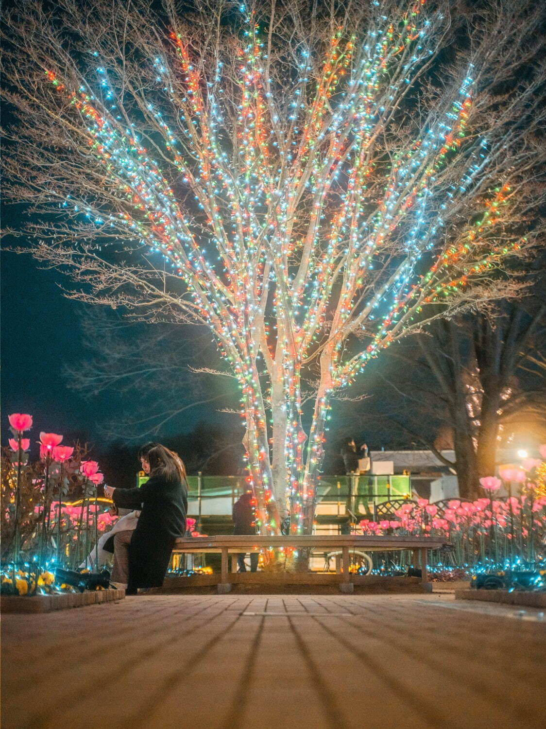 あしかがフラワーパーク“花と光”のイルミネーションイベント、咲き始めから舞い散るまで花の一生を表現｜写真11