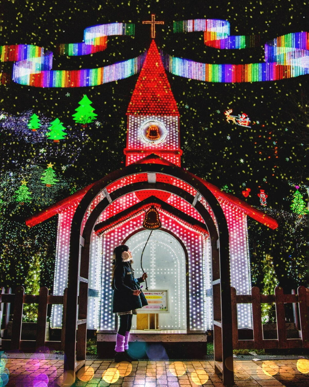 あしかがフラワーパーク“花と光”のイルミネーションイベント、咲き始めから舞い散るまで花の一生を表現｜写真9