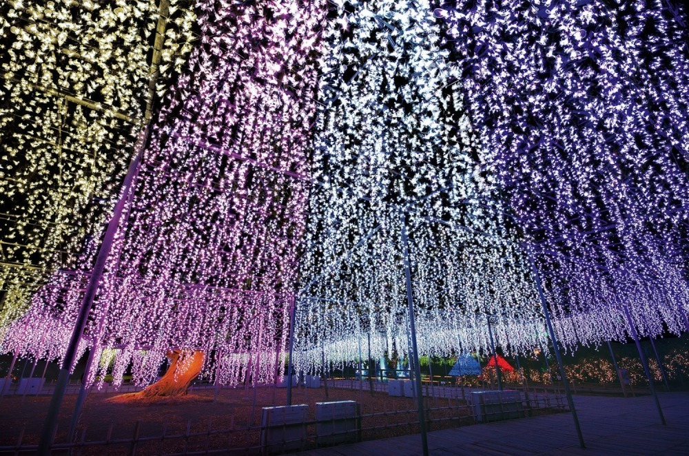 あしかがフラワーパーク“花と光”のイルミネーションイベント、咲き始めから舞い散るまで花の一生を表現｜写真16