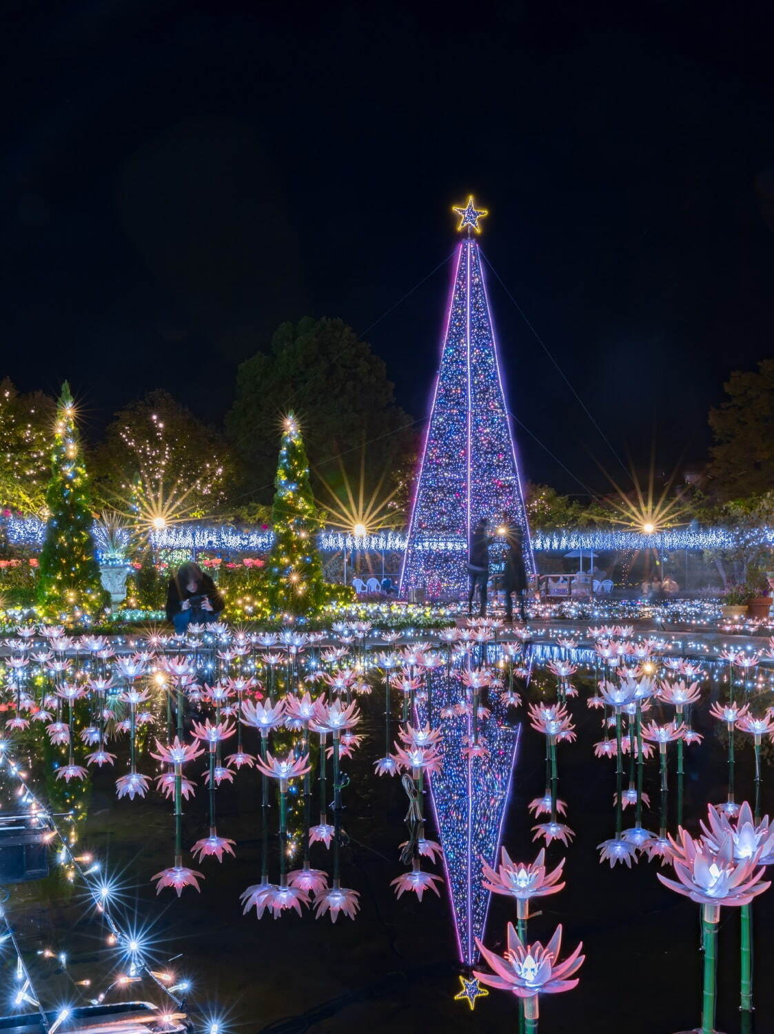 あしかがフラワーパーク“花と光”のイルミネーションイベント、咲き始めから舞い散るまで花の一生を表現｜写真12