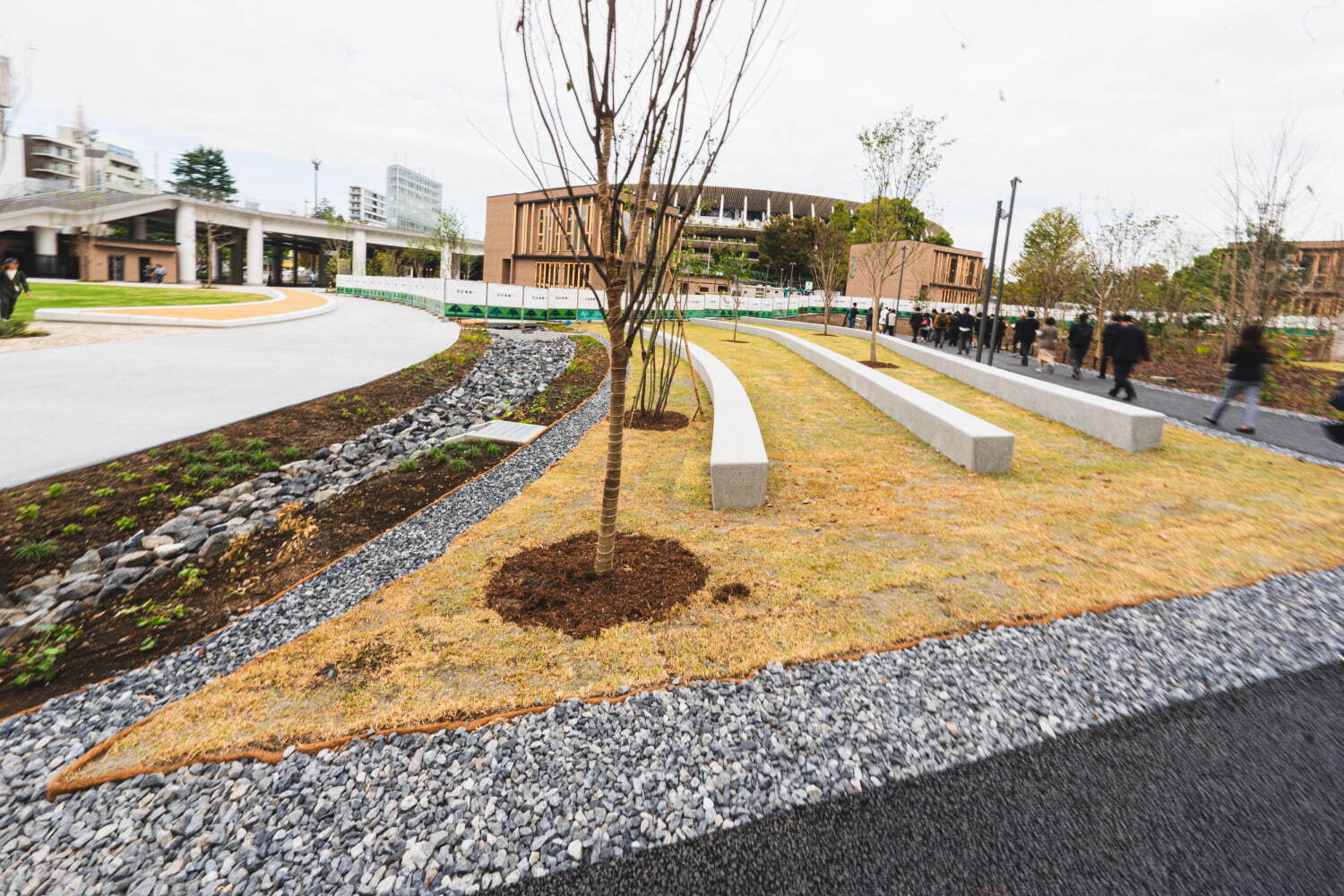 「都立明治公園」新国立競技場隣接の緑溢れる公園施設 - 3つの広場や樹林地、カフェ＆レストランも｜写真14