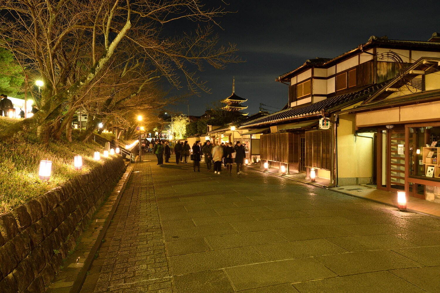 灯りと花の路(ねねの道)