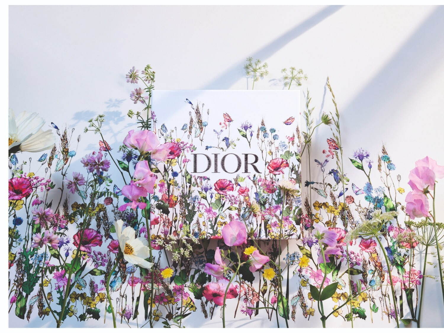 ディオール(DIOR) ミス ディオール｜写真5