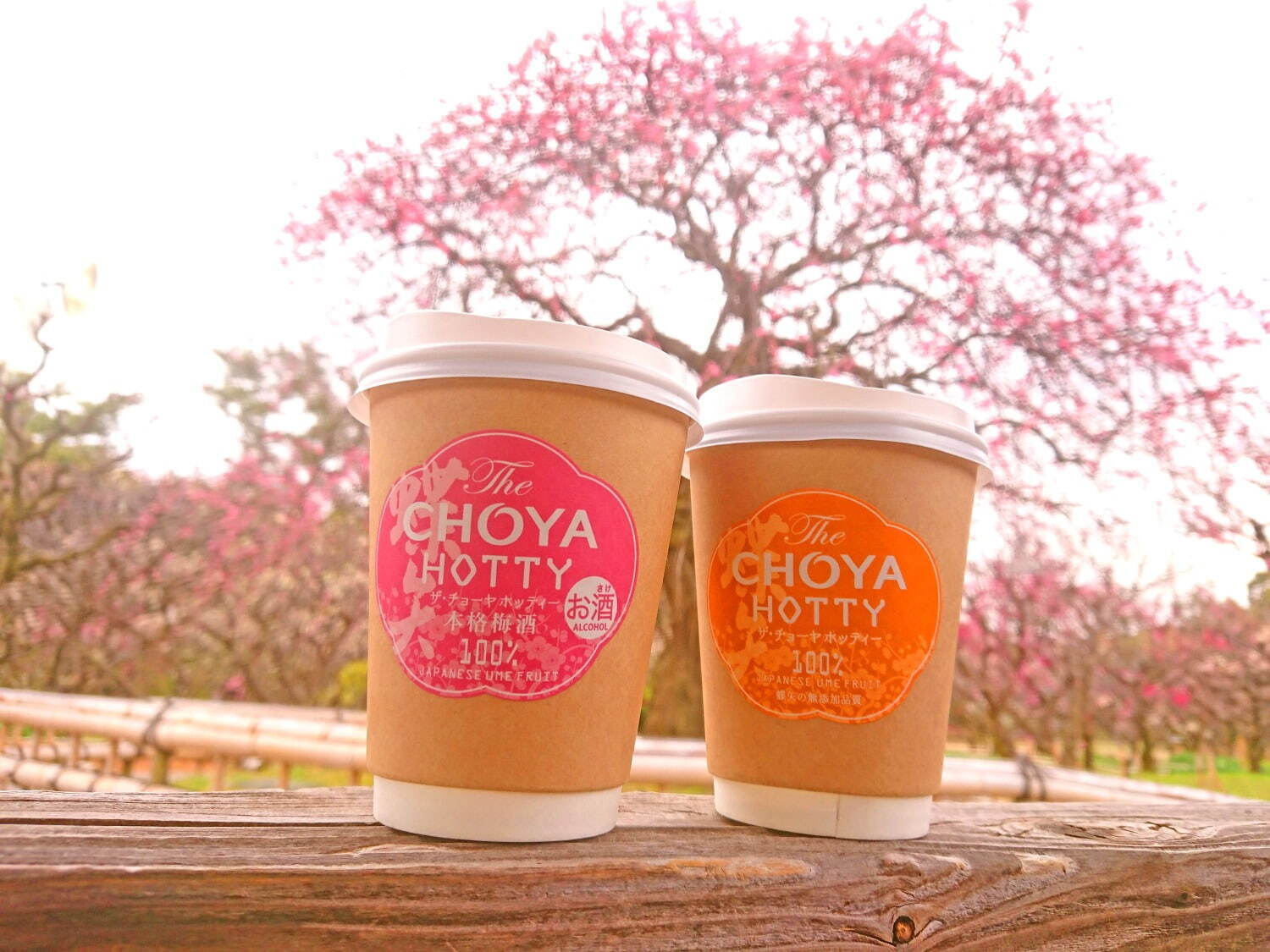 The CHOYA HOTTY(ホット梅酒、ホット梅ドリンク) 各400円