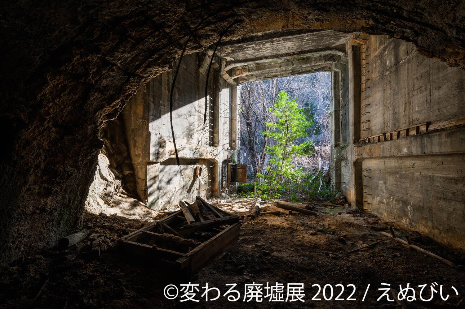 “美しい廃墟”の写真展「変わる廃墟展 2022」東京＆名古屋で、初参加クリエイターの作品＆限定グッズ｜写真4