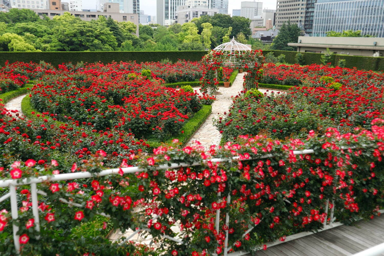 ホテルニューオータニ(東京)「レッドローズガーデン」"満開のバラ園"でお花見＆アフタヌーンティー｜写真5