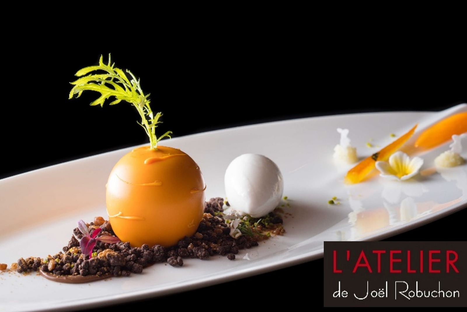 ジョエル・ロブション(Joel Robuchon) うさぎ｜写真10